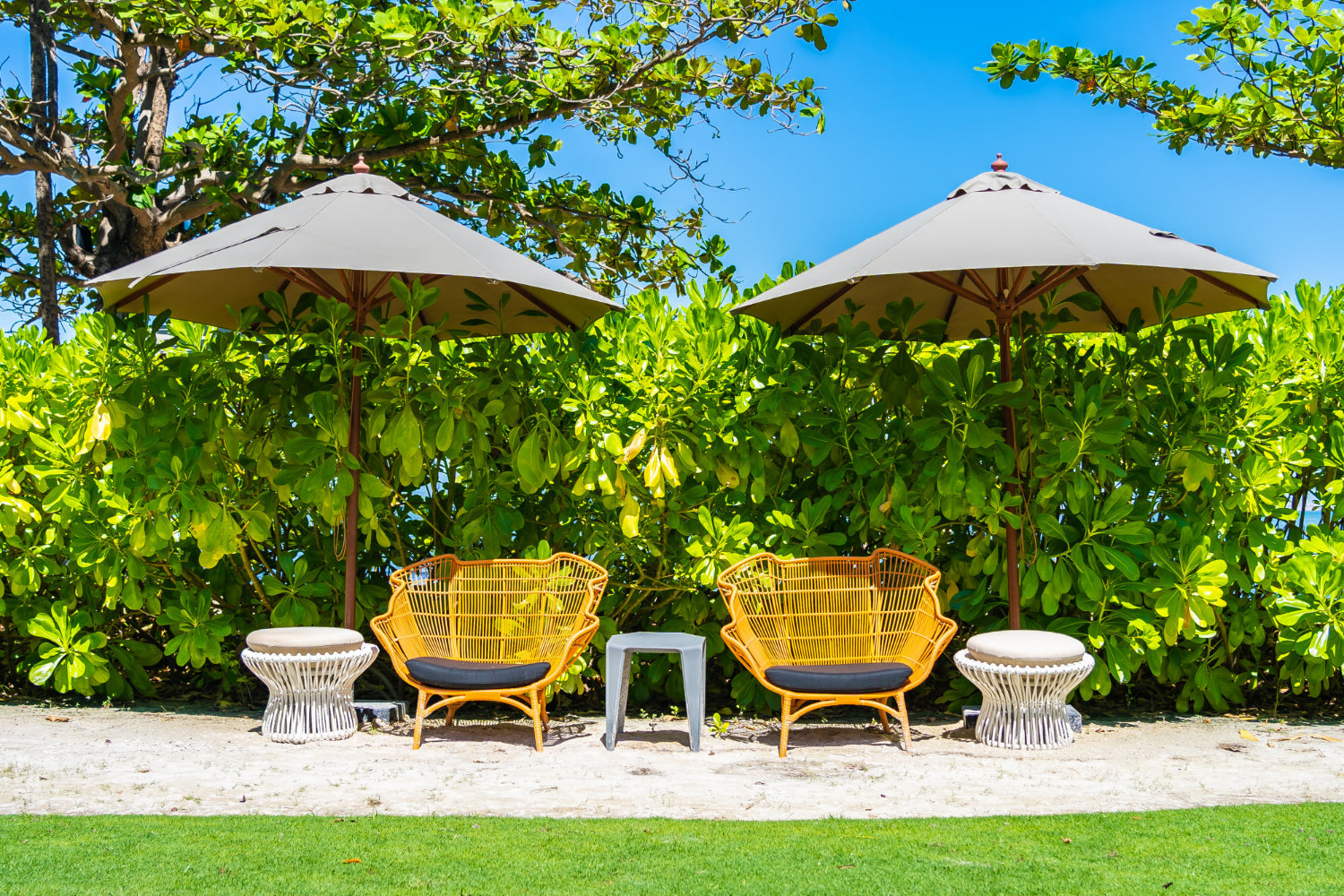 Parasols & Plants