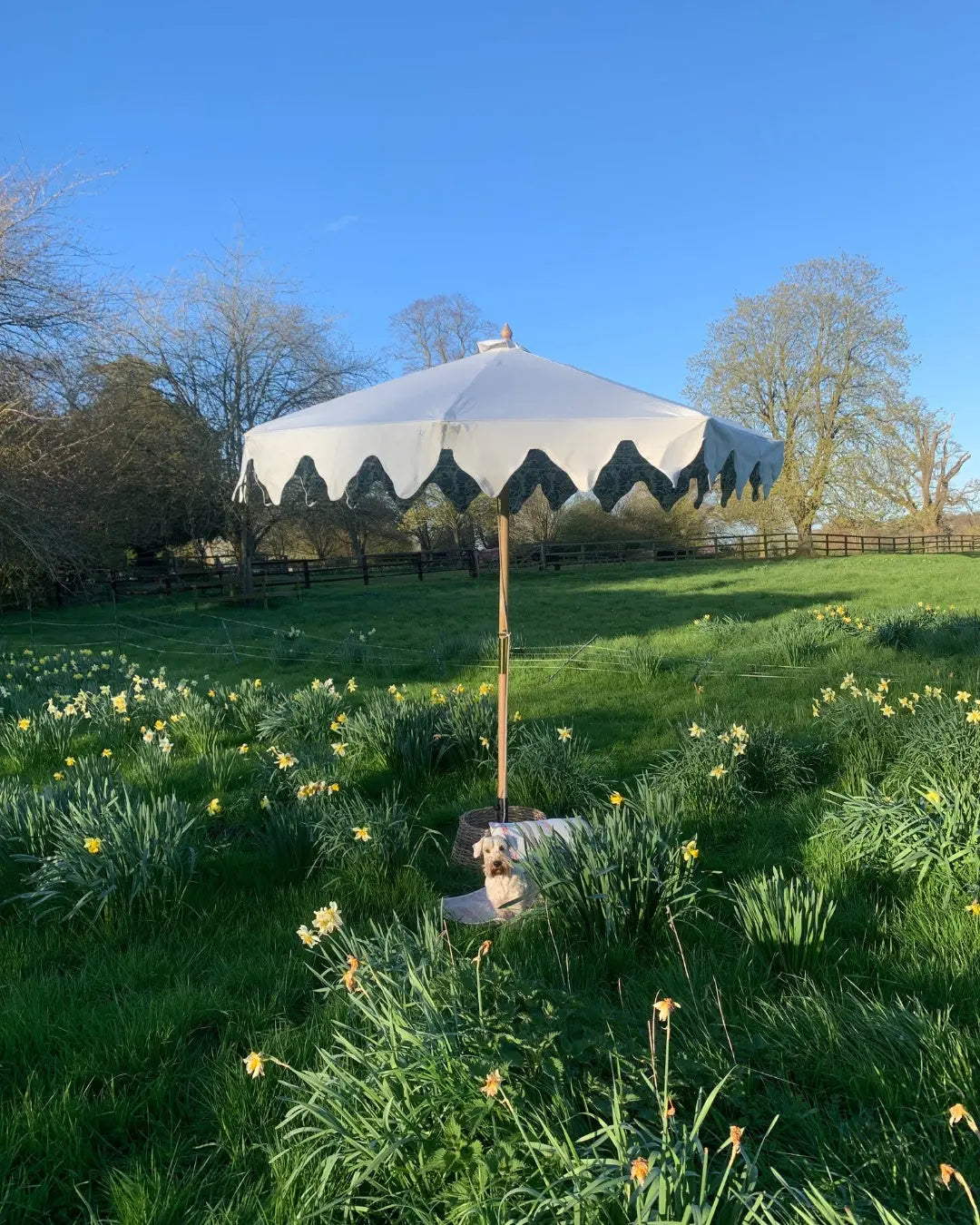 What Makes Parasol-UK’s Creation the Perfect Garden Parasol?