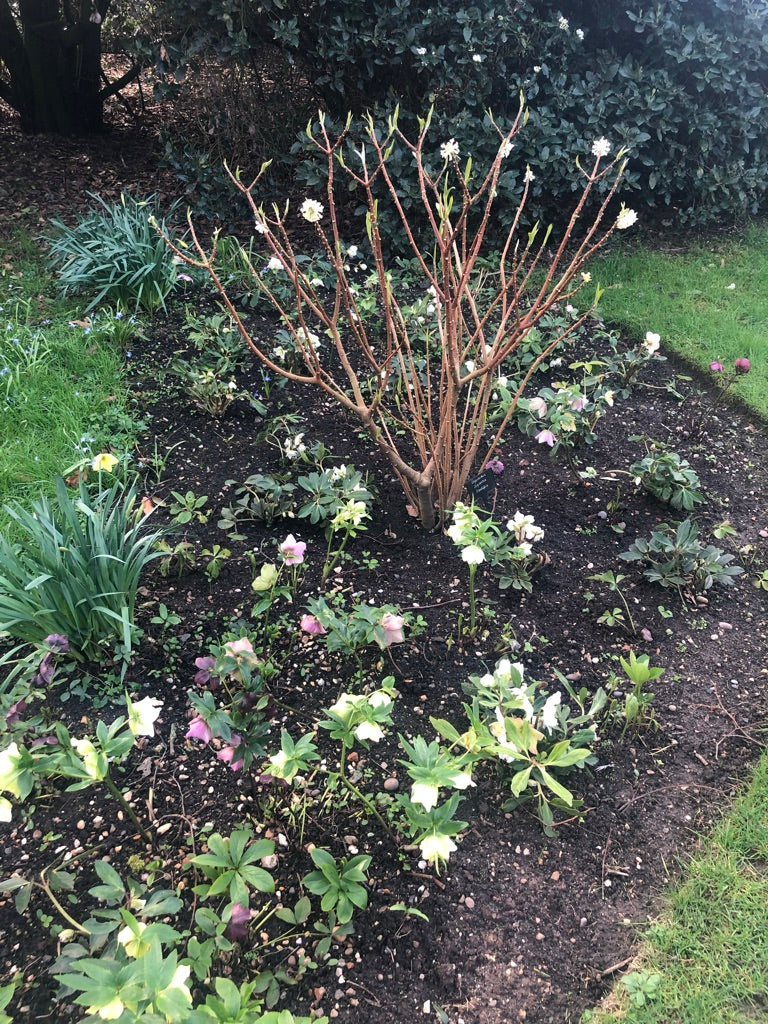 GARDEN TALK TICKETS - 7TH FEBRUARY 2026