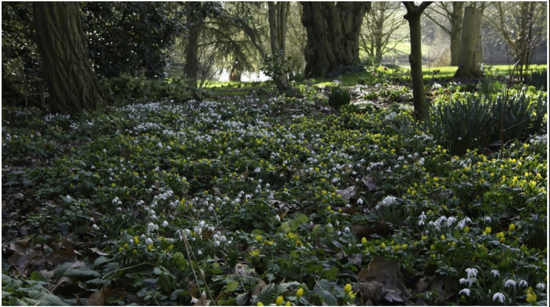 GARDEN TALK TICKETS - 7TH FEBRUARY 2026