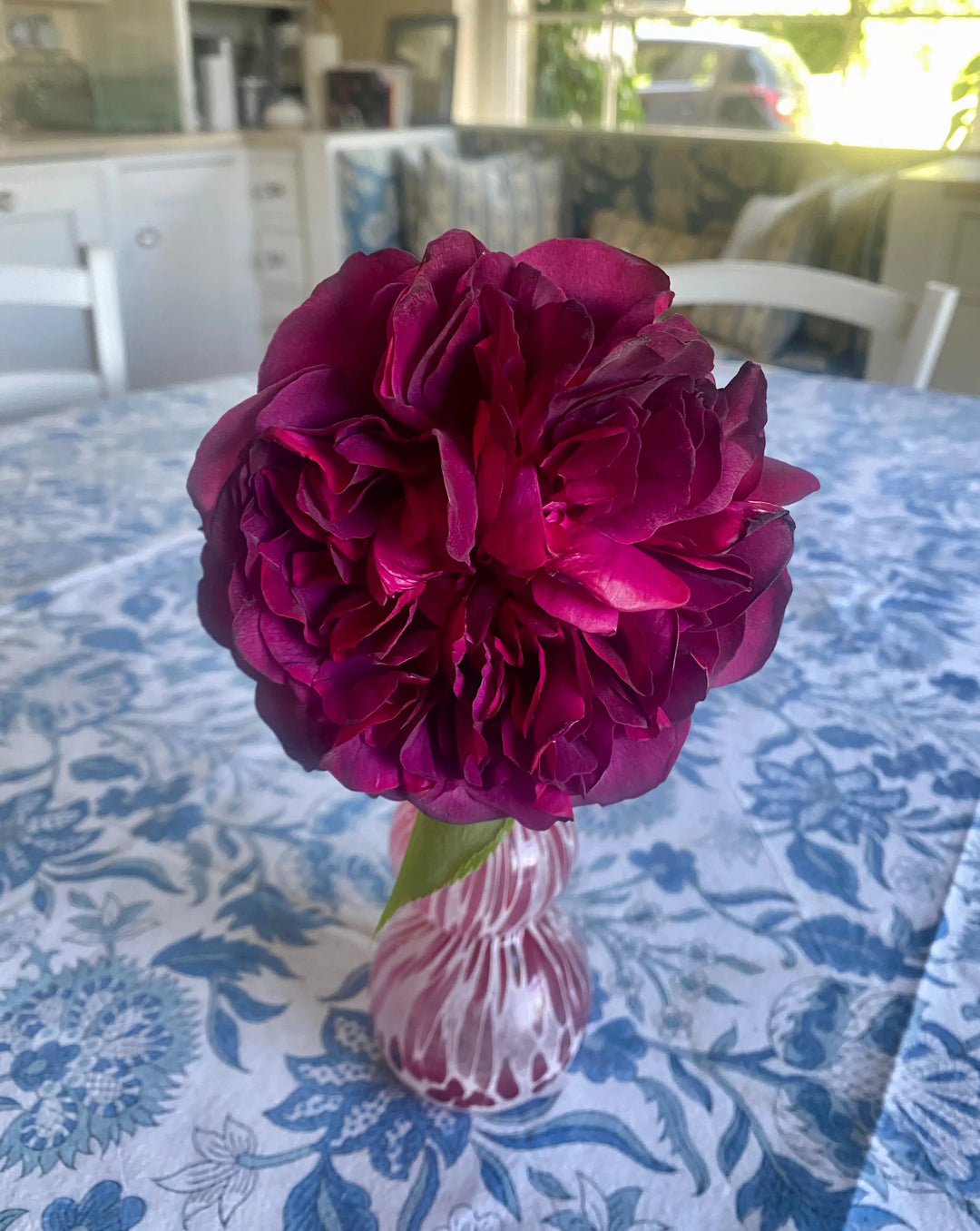 Tablecloth Horkesley Blue Parasol-UK